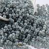 Glass Seed Beads X1-SEED-M011-02A-09-1