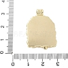 Brass Enamel Pendants KK-F886-01G-06-3