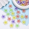 Transparent Resin Pendants RESI-A046-05B-1