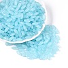 Opaque Colours Glass Seed Beads SEED-T007-16E-3