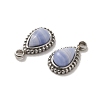 304 Stainless Steel Pave Natural Blue Lace Agate Teardrop Charms STAS-B074-04P-02-2