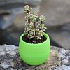 Plastic Plant Pots AJEW-I055-01B-2