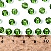 FGB Transparent Glass Seed Beads SEED-N013-01B-10-4