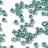 Glass Seed Beads E06900E4-2