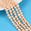 Natural Cultured Freshwater Pearl Beads Strands PEAR-P064-20A-04D-1