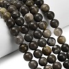 Natural Volcanic Agate Beads Strands G-G305-A01-10mm-1