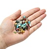 1 Strand Mixed Gemstone Chip Beads Strands G-FS0005-78-3