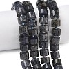 Natural Iolite Beads Strands G-C270-I03-01-1