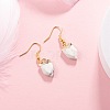 10Pcs 10 Style Natural Gemstone Pointed Pendants G-LS0002-04-7