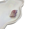 Acrylic Claw Hair Clips PW-WG234CC-01-1