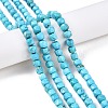 Natural Turquoise Beads Strands G-N342-108-4