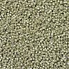 MIYUKI Delica Beads X-SEED-J020-DB1181-3