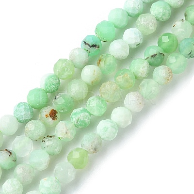 Natural Chrysoprase Beads Strands G-F748-X01-03B-1