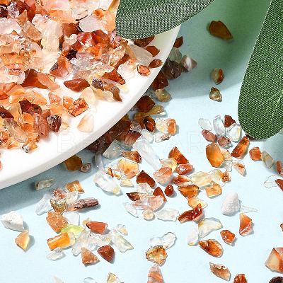 Natural Carnelian Chip Beads X-G-O103-18-1