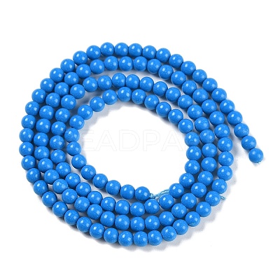 Synthetic Turquoise Beads Strands G-U004-02D-1