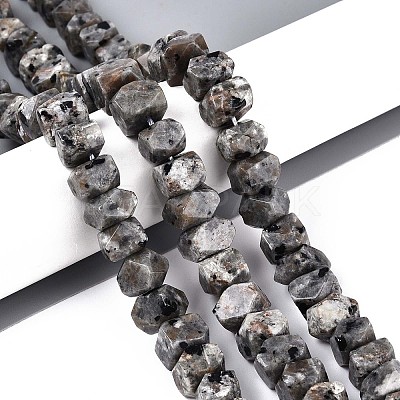 Natural Syenite Beads Strands G-D091-A32-1