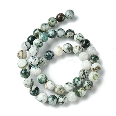 Natural Tree Agate Beads Strands X-G-K194-8mm-02-1