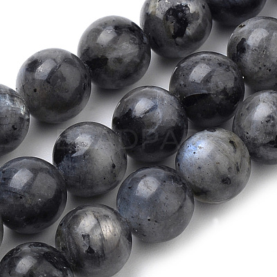 Natural Larvikite Beads Strands X-G-S259-06-8mm-1