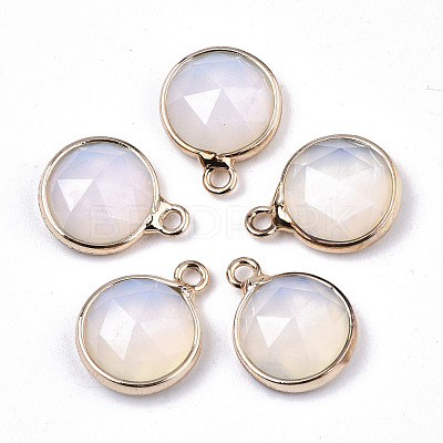 Opalite Charms G-N326-49G-1