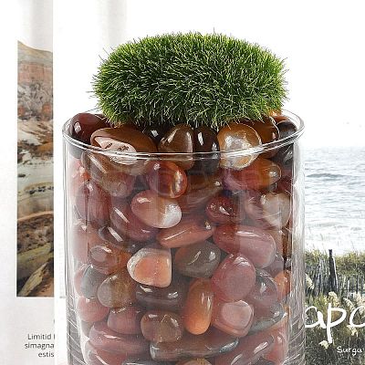 Dyed & Heated Natural Agate Beads G-J402-03C-01A-1