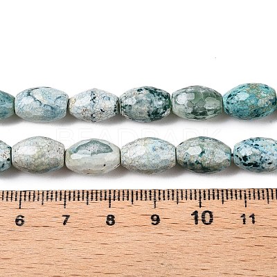 Natural Agate Beads Strands G-T138-180J-1
