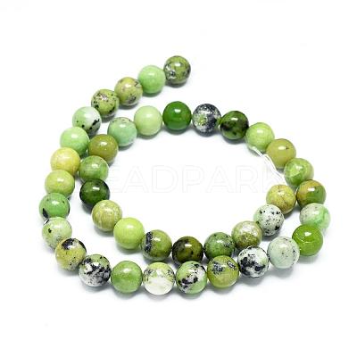 Natural Serpentine Beads Strands G-F576-01-10mm-1