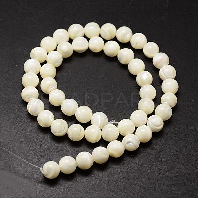 Natural Sea Shell Beads Strands SSHEL-K013-8mm-A-1