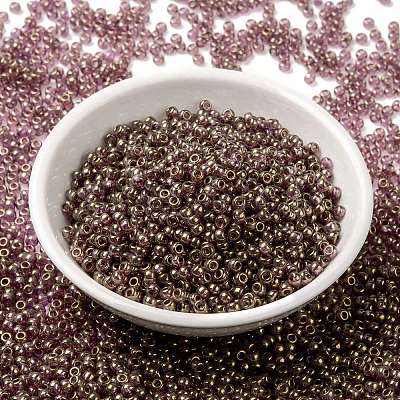 MIYUKI Round Rocailles Beads X-SEED-G008-RR2448-1