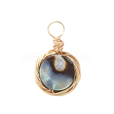 Natural Abalone Shell/Paua Shell Pendants PALLOY-JF00457-01-1