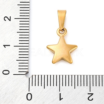304 Stainless Steel Charms STAS-I127-067G-1