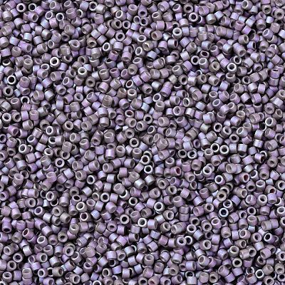 MIYUKI Delica Beads SEED-X0054-DB1065-1