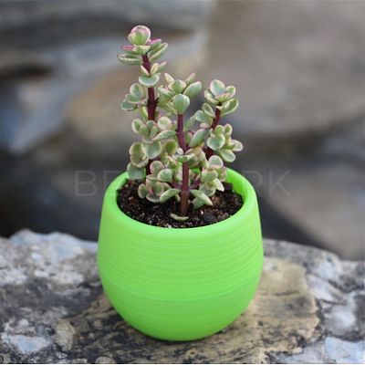Plastic Plant Pots AJEW-I055-01B-1