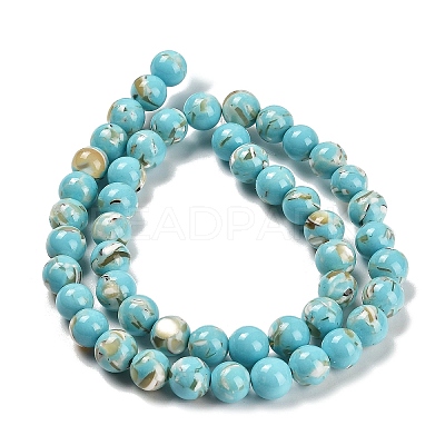 Assembled Synthetic Stone and Trochus Shell Beads Strands G-B128-08C-06-1