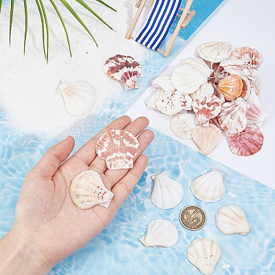 40Pcs Natural Scallop Shell Beads SSHEL-SP0001-02-1