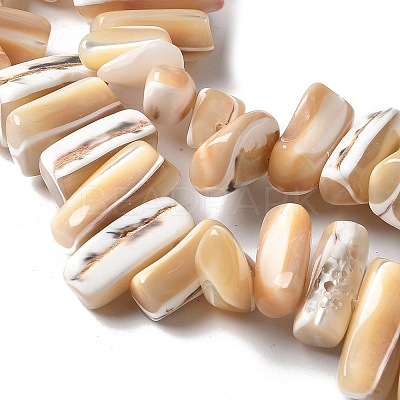 Dyed Natural Trochus Shell Beads Strands SSHEL-C013-09K-1