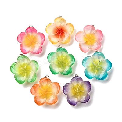 Transparen Resin Pendants RESI-A046-05D-1
