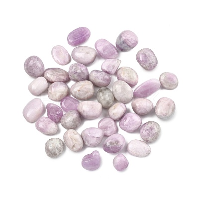 Natural Kunzite Beads G-G348-01A-15-1