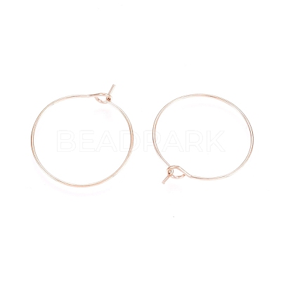 Ion Plating(IP) 316L Surgical Stainless Steel Hoop Earring Findings STAS-D164-03RG-1
