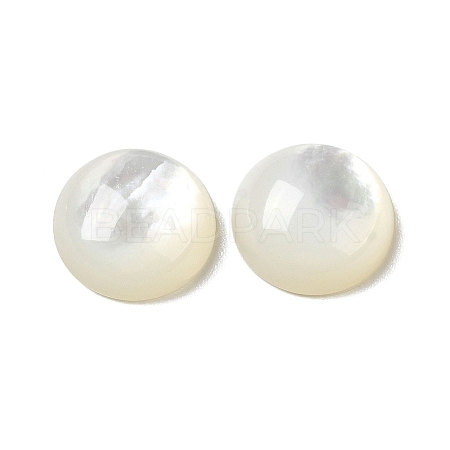 Natural White Shell Cabochons X-SSHEL-M022-01C-1