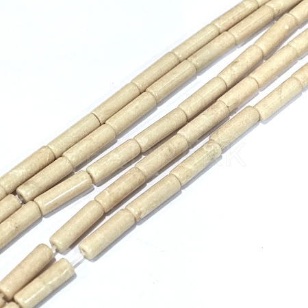 Natural Petrified Wood Beads Strands G-F247-49-1