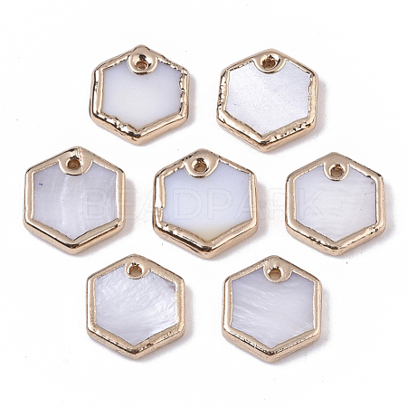 Natural Freshwater Shell Charms X-SHEL-S276-76-1