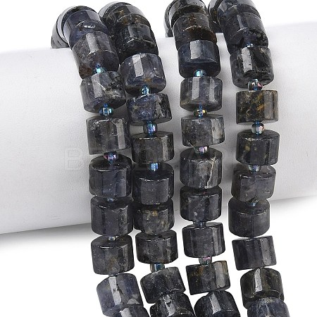 Natural Iolite Beads Strands G-C270-I03-01-1