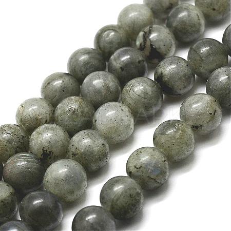Natural Labradorite Bead Strands G-P256-01-12mm-1