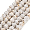 Assembled Synthetic Stone and Trochus Shell Beads Strands X-G-B128-08C-01-1