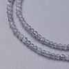 Natural Labradorite Beads Strands G-F596-43-4mm-3
