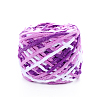 Gradient Color Polyester Wool Blend Yarn YCOR-PW0001-004A-40-1