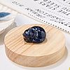 Natural Sodalite Display Decorations DJEW-PW0009-009N-1
