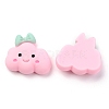 Resin Cabochons CRES-J043-09C-2