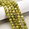 Natural Gemstone Beads GSR032-1