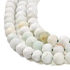 Natural Green Opal Beads Strands G-Z035-A02-03D-4